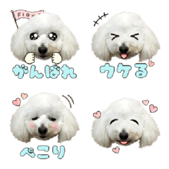 Komame Emoji 2