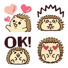 Cute! Mochitto hedgehog