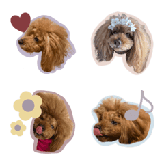 roi__coton Emoji