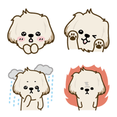 Shih Tzu & Maltese mix dog emoji 3