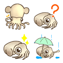 little cuttlefish