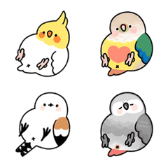 Tobao's birds 1