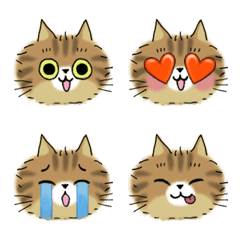 Brown Patched Tabby Cat MIE's Smiley