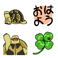 I'am tortoise Emoji