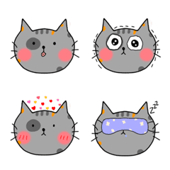gray kitty