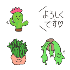 Pop cactus,teineigo