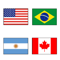 세계의 국기 미국