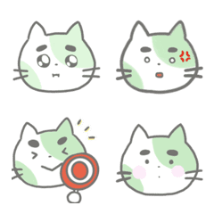 Futo-mayu cat