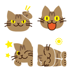 Cute Brown Tabby Cat