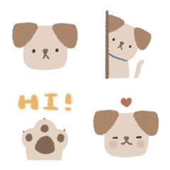 Facial Expression of AFU cute dog