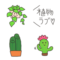 Green plants,cactus,teineigo