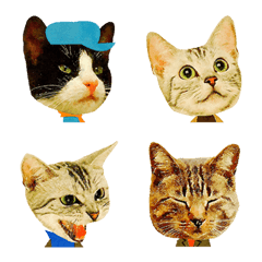 表情豊かなレトロ猫 毎日使えるネコ顔文字 Line絵文字 Line Store