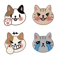 Cat look Emoji