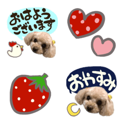 Toy poodle laugh emoji