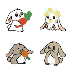 bunny so cute