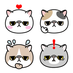 Various Exotic Shorthair Emoji