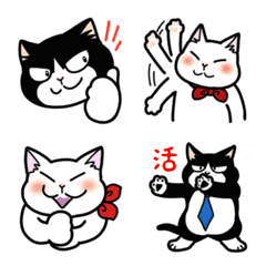 Message Cat Emoji