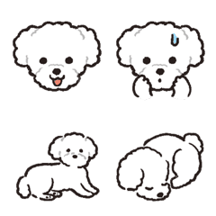 Emoji with Toy Poodle (white) every day