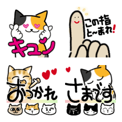 Only cat Emoji 3