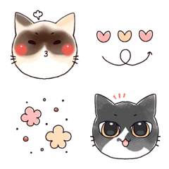 Siamese cat mix and tabby cat Emoji