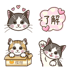 Good listener Kitten's Emoji(tw)