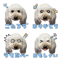 Kotaro Emoji