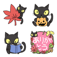 black cat and autumn