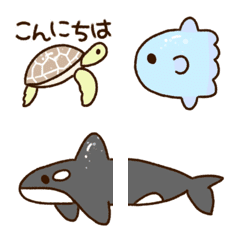 Cute creatures of the sea