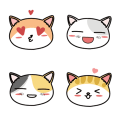 Lovely cat's daily life