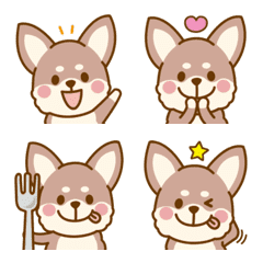 Adult cute Chihuahua emoji