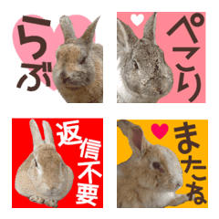 ookunosima rabbit emoji