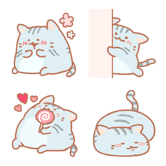 Fluffy American Shorthair emoji