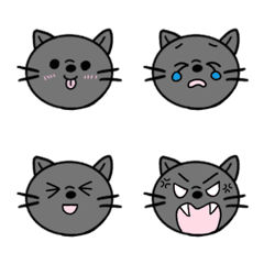 Gray cat face
