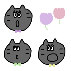Gray cat with ribbon