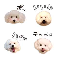simple toypoodle emoji