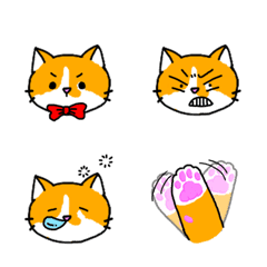Tangerine is a cat.Emoji