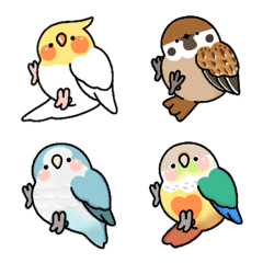 Tobao birds