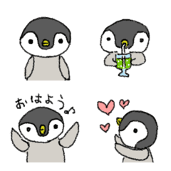 Penguin baby