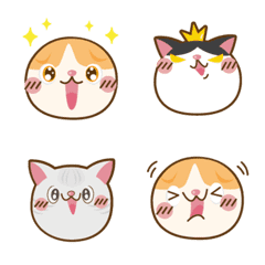 Happy Family cat