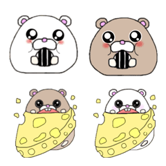 hamuhha-.sutacchi
