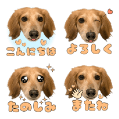 Dachshund Chikuwa Emoji