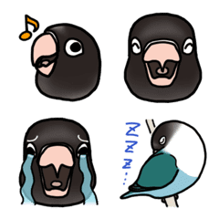 Chobi of masked lovebird (Emoji)