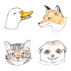 Faces of various animals