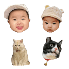 pippkoemji