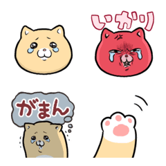 Crying cat Ki-chan emoji