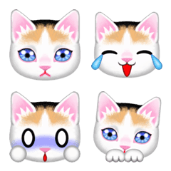 青い目の三毛猫
