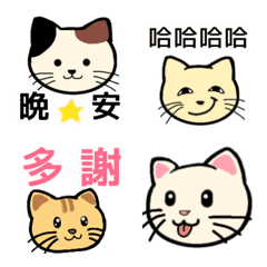 富有表現力的貓 in 台灣