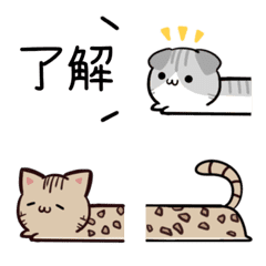 Cats emoji that can be used every day5