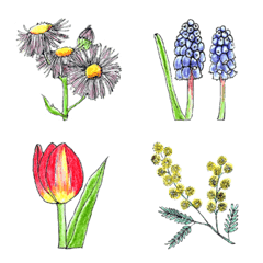 Spring plants