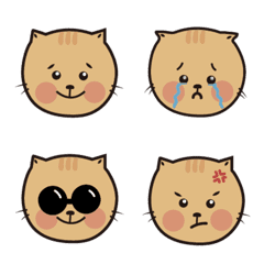 Orange cat cute